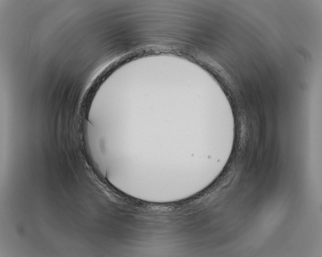 X0000112790878200910021057