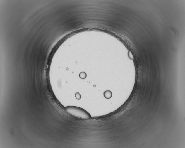 X0000112790880200910021057