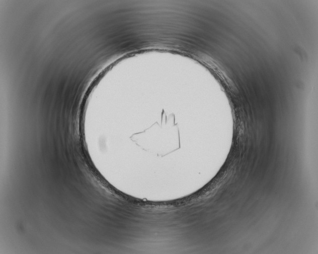 X0000112790884200910021057