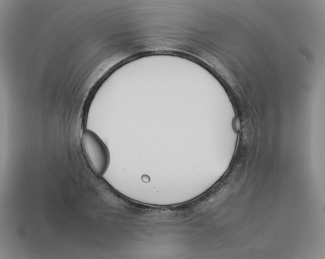 X0000112790885200910021057