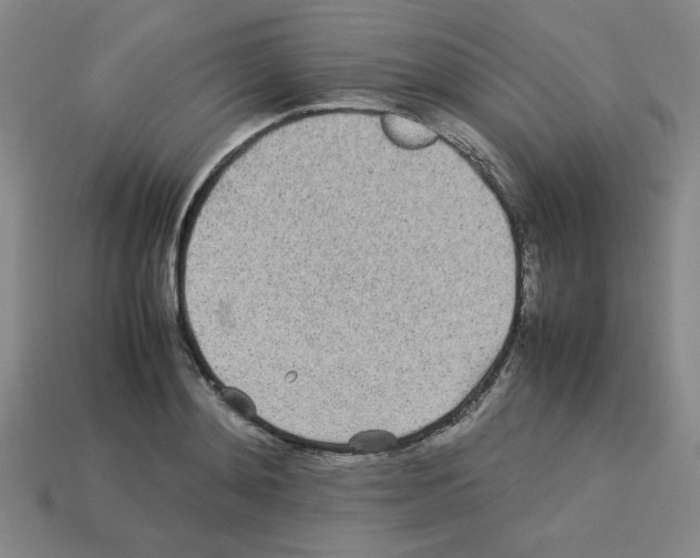 X0000112790892200910021057