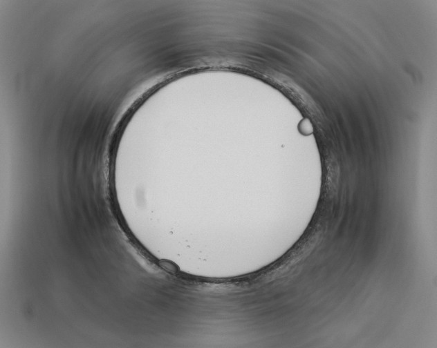 X0000112790894200910021057