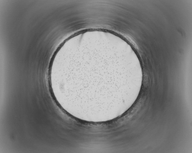 X0000112790895200910021057