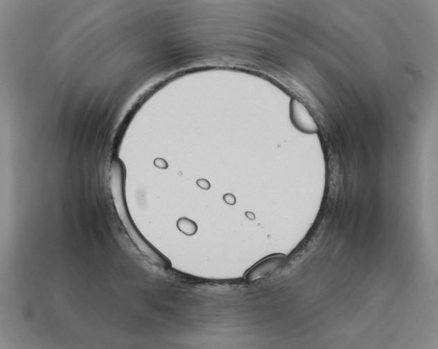 X0000112790896200910021057