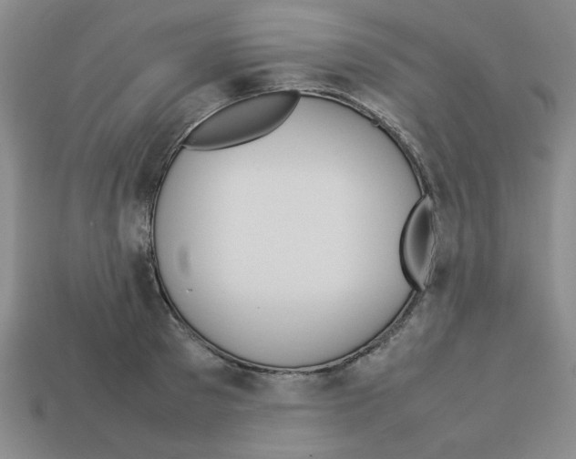 X0000112790897200910021057