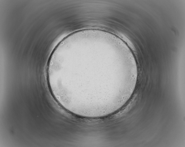 X0000112790899200910021057