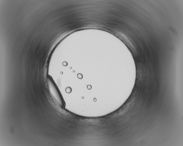 X0000112790900200910021057