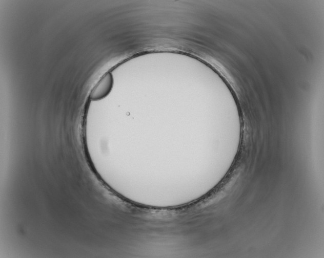 X0000112790901200910021057