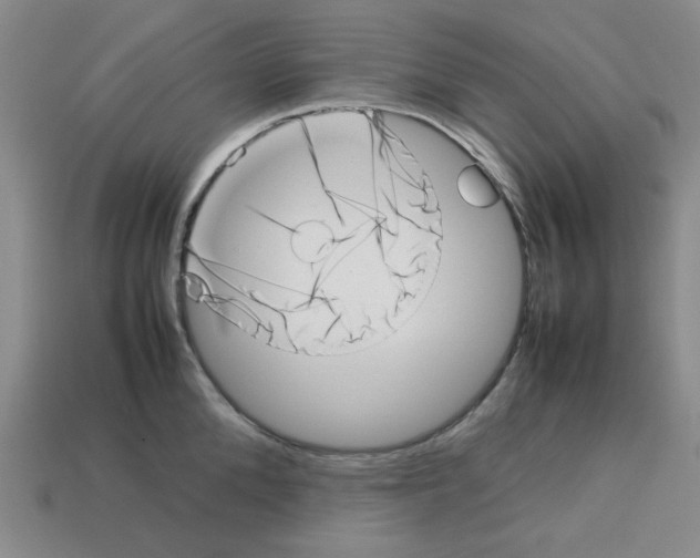 X0000112790904200910021057