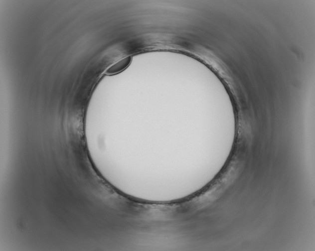 X0000112790905200910021057