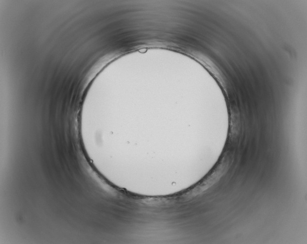 X0000112790906200910021057