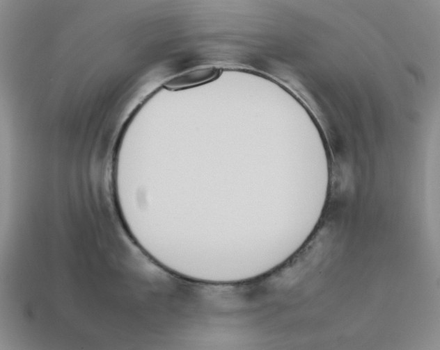 X0000112790909200910021057