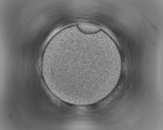 X0000112790911200910021057