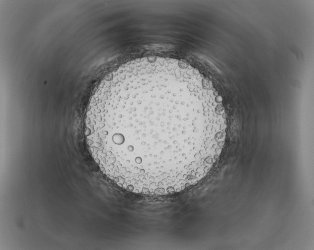 X0000112790917200910021056