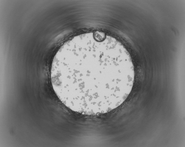 X0000112790918200910021056