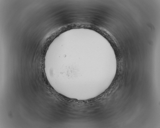 X0000112790919200910021056