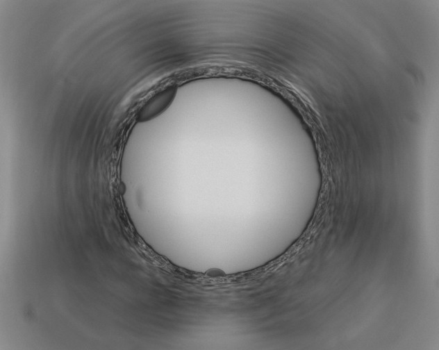 X0000112790920200910021056