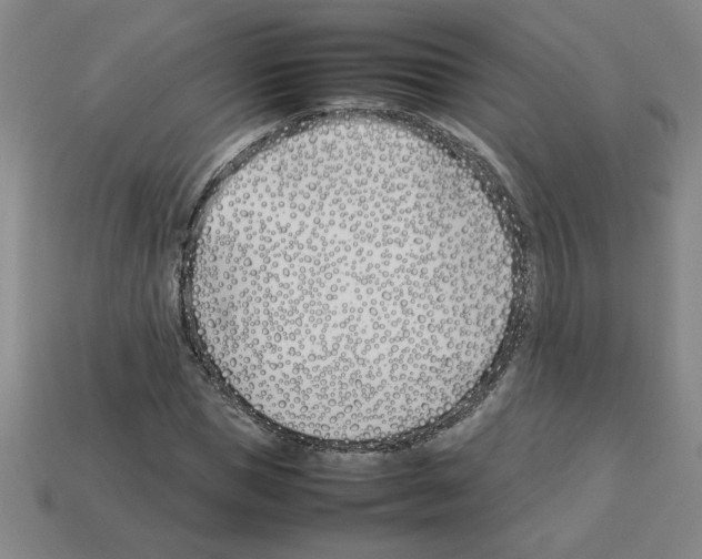 X0000112790921200910021056