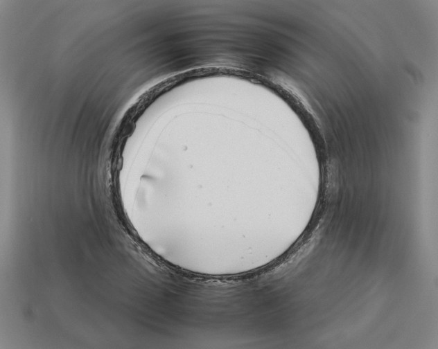 X0000112790923200910021056