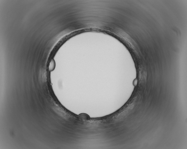 X0000112790924200910021056