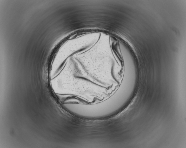 X0000112790925200910021056