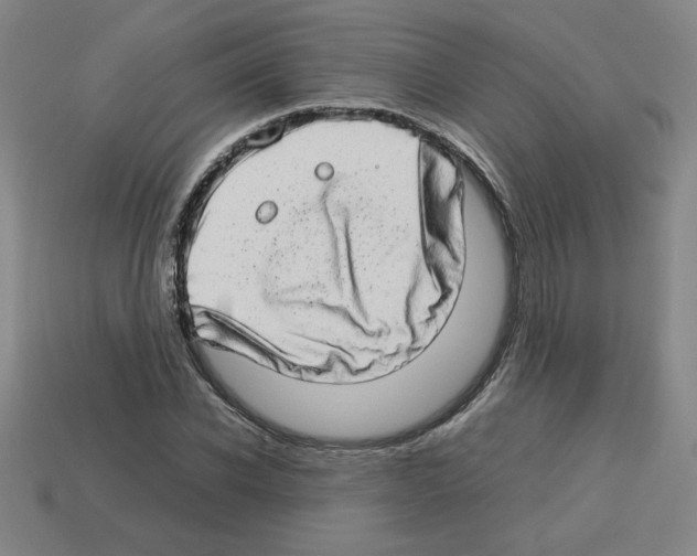 X0000112790926200910021056