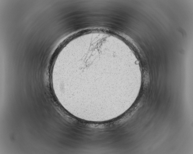 X0000112790927200910021056