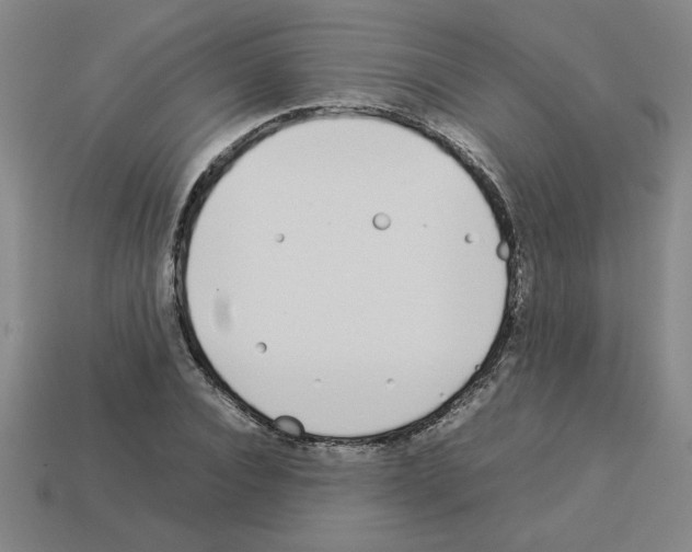 X0000112790928200910021056