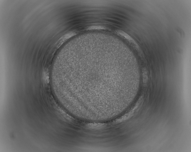 X0000112790929200910021056