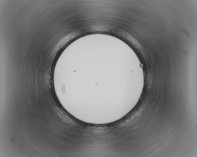 X0000112790930200910021056