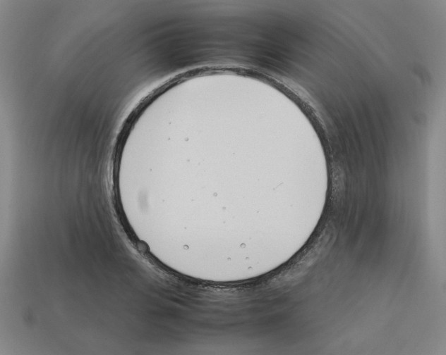 X0000112790935200910021056