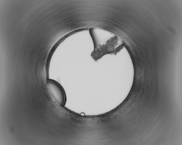 X0000112790936200910021056