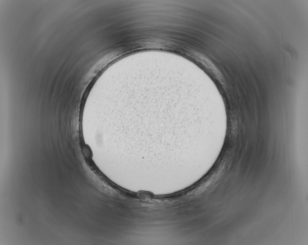 X0000112790938200910021056