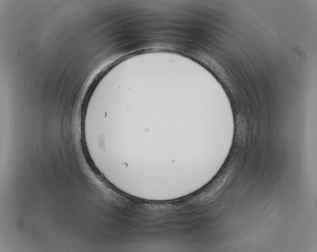 X0000112790939200910021056