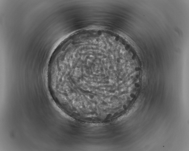 X0000112790941200910021056