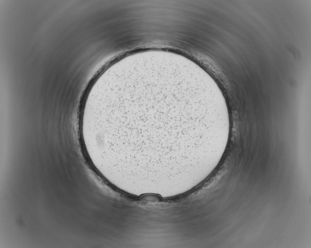 X0000112790942200910021056