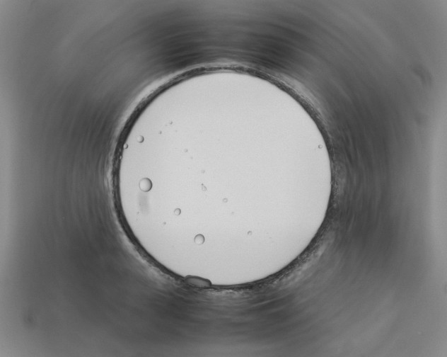 X0000112790943200910021056