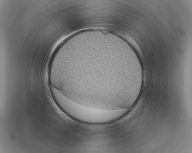 X0000112790944200910021056