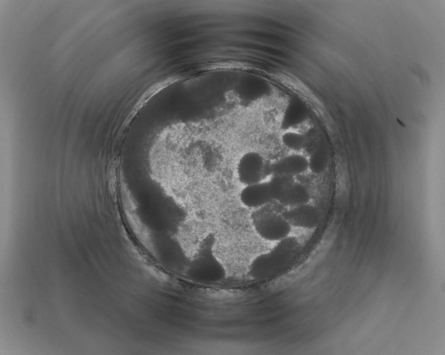 X0000112790945200910021056