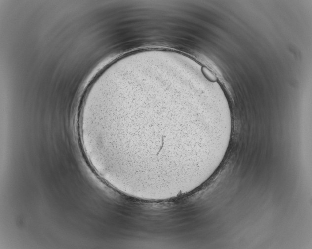 X0000112790947200910021056