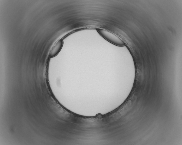 X0000112790948200910021056