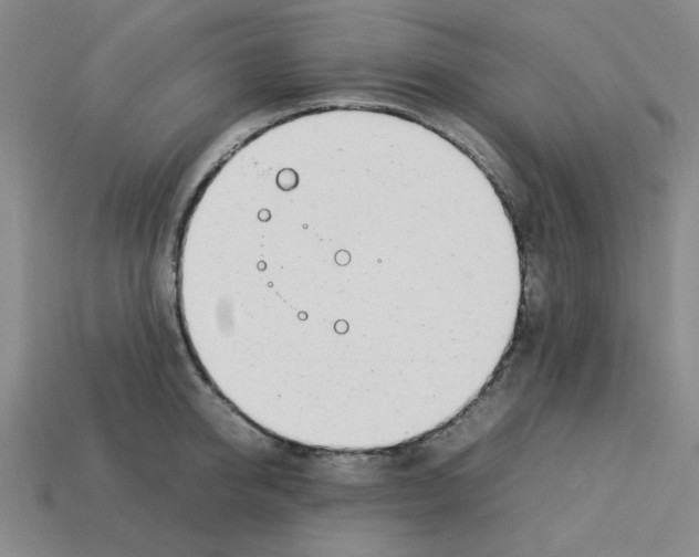 X0000112790950200910021057