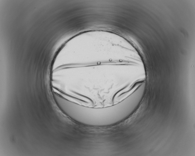 X0000112790952200910021057