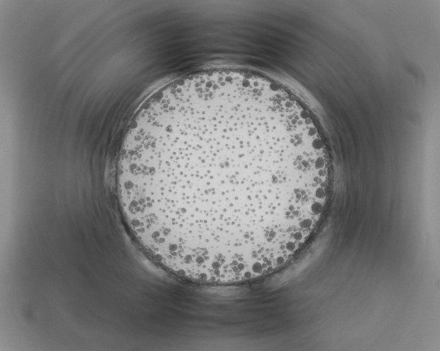 X0000112790953200910021057