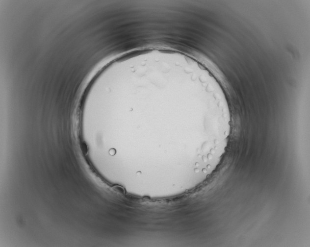 X0000112790955200910021057