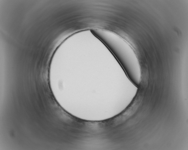 X0000112790956200910021057