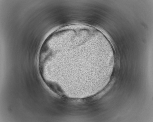 X0000112790957200910021057