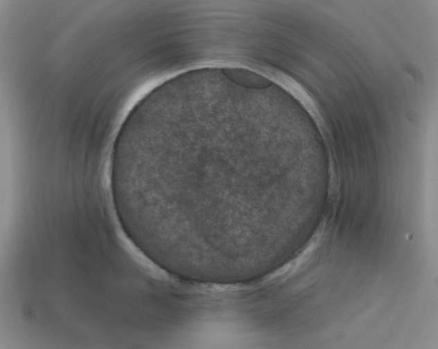 X0000112790958200910021057