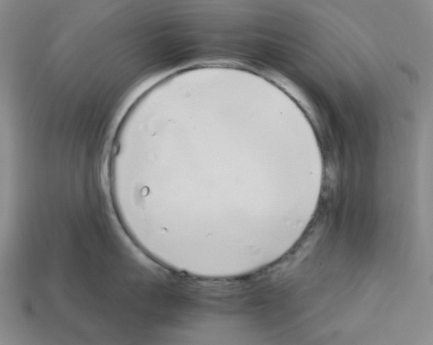 X0000112790959200910021057