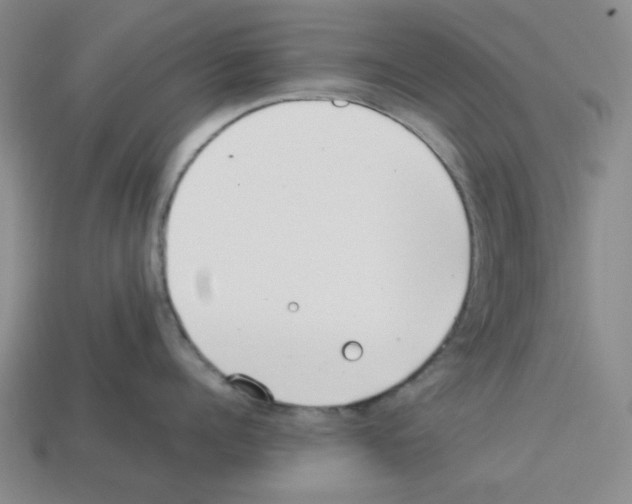 X0000112790960200910021057